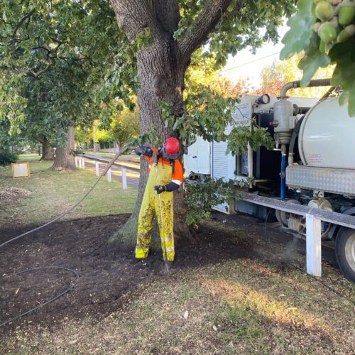 Soil Amelioration