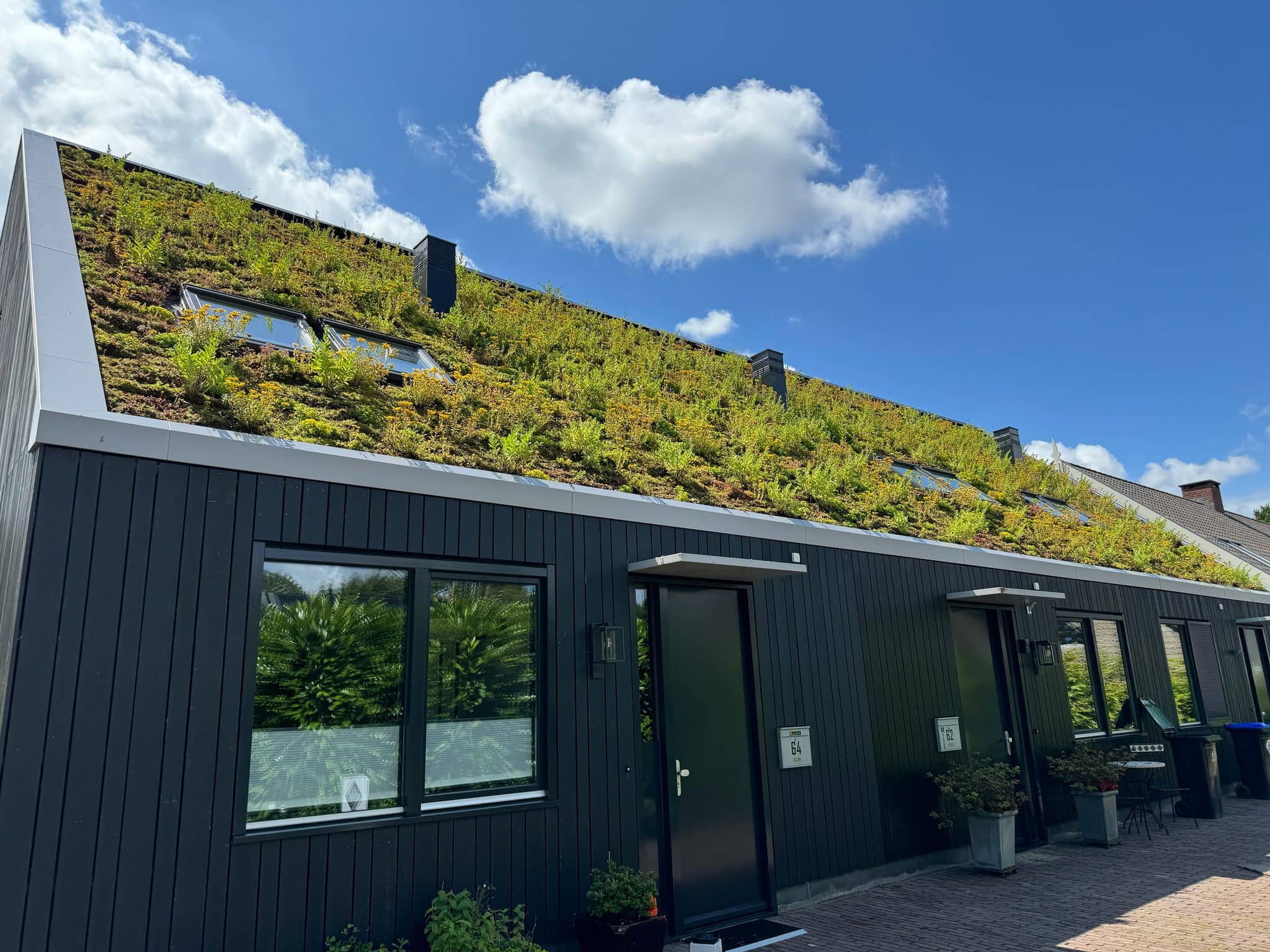 Green Roofing
